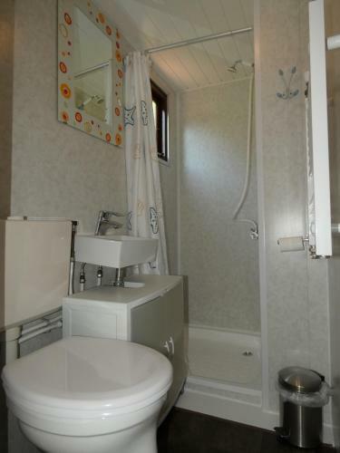 Chalet Nr 15 Op Bospark Trimunt