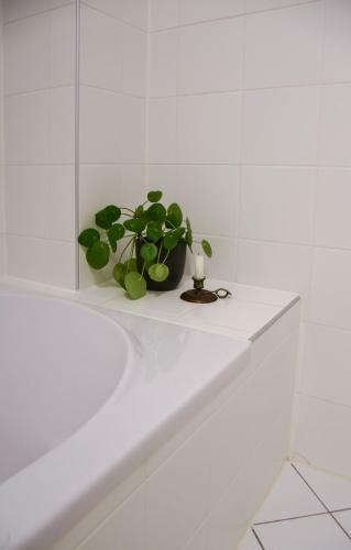 Apartamento Ameleven