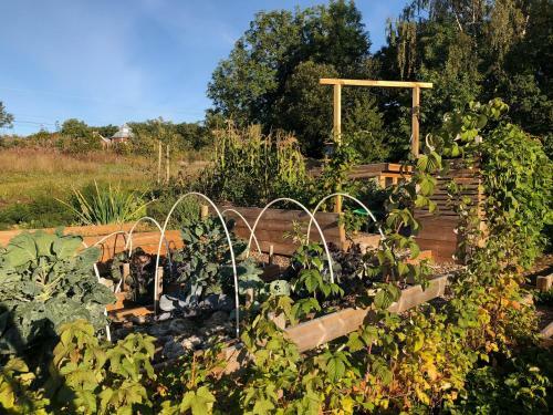 V�ttervy Glamping