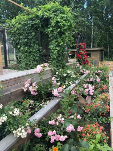V�ttervy Glamping