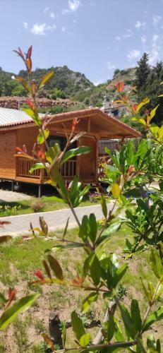 Apartamento Arden Bungalows Adrasan