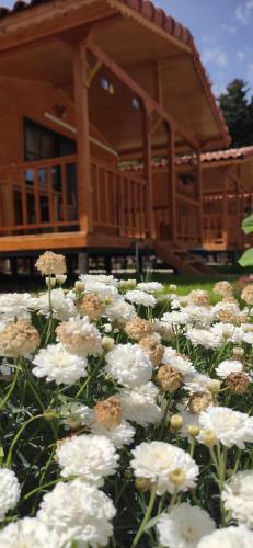 Apartamento Arden Bungalows Adrasan