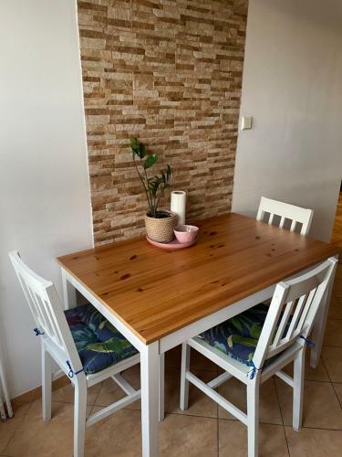 Central Park Apartament