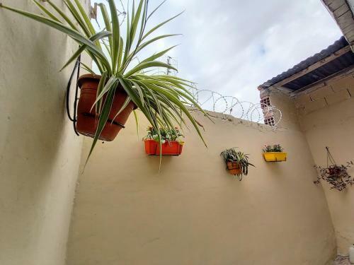 Apartamento Departamento Ohana