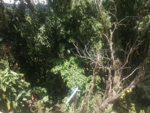 Apartamento Caba�a Las Lomitas