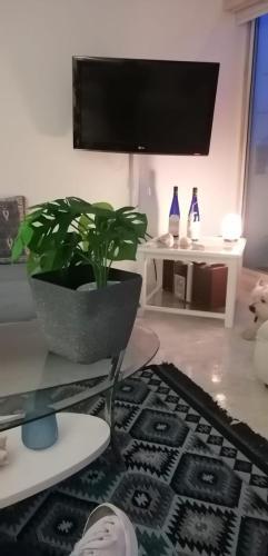 Apartamento Sea View 205
