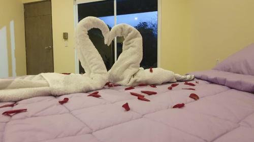Hotel Plaza Tayrona