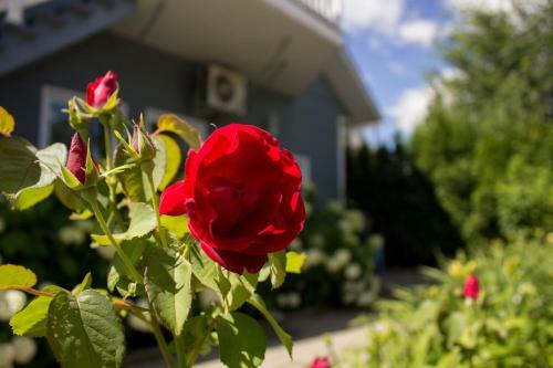 Apartamento Appartement Aux 4 Roues