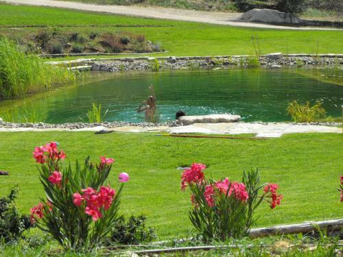 Agroturismo Sasseta Alta