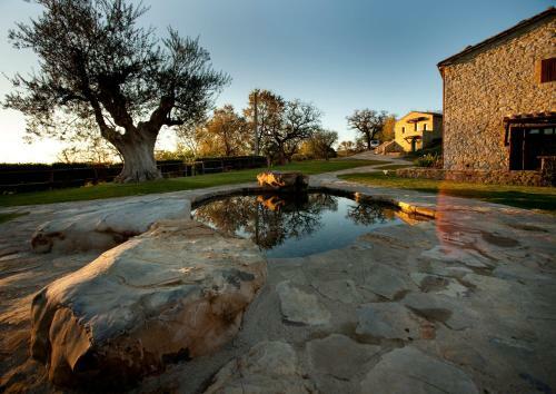 Agroturismo Sasseta Alta