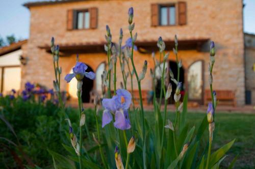 Agroturismo Sasseta Alta