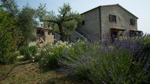 Agroturismo Sasseta Alta