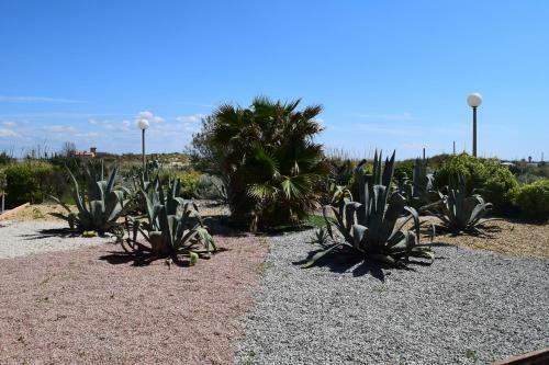 Hotel Les Dunes