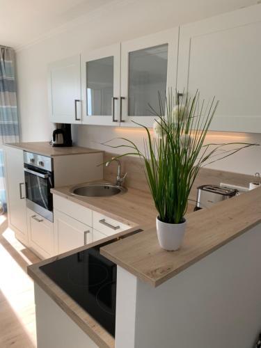 Apartamento Harz 21