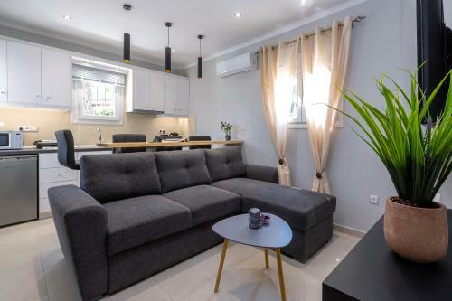 Borts Apartment