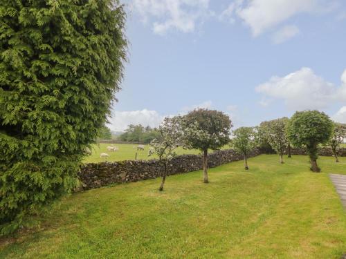 New Elm Tree Farm