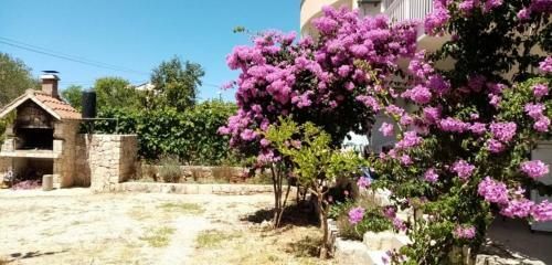 Apartman Srima