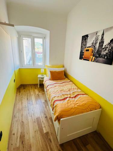 Apartment Tashi