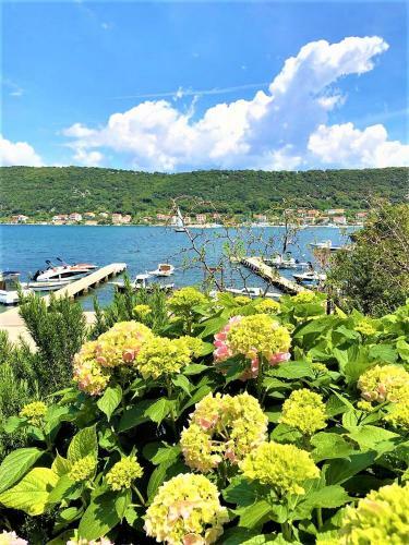 Apartments With Boat Mooring Marija