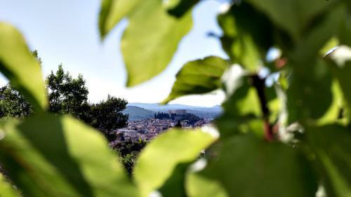 Apartamento Petar Pan