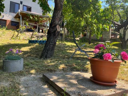 Apartamento K�kcseng? Vend�gh�z