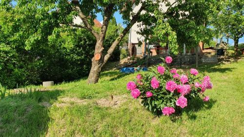 Apartamento K�kcseng? Vend�gh�z