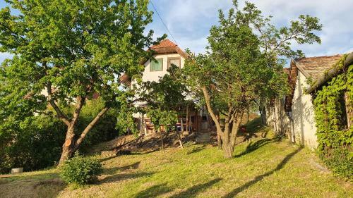 Apartamento K�kcseng? Vend�gh�z