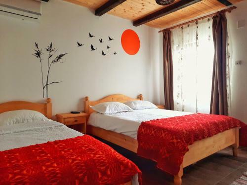 Hostal Casa Din Delta