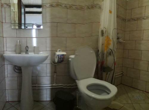 Hostal Casa Din Delta