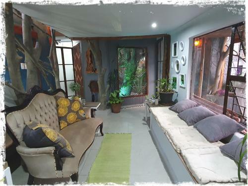 Hostal Serendipity On Green