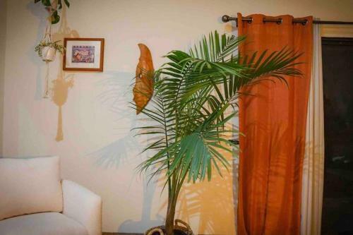 Cheerful Southwestern House With Pool