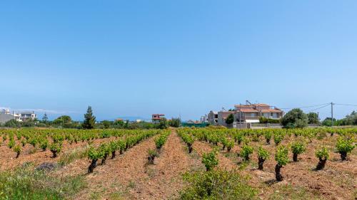 Apartamento Doukas House ??????? ????? ?? ????????, ????????