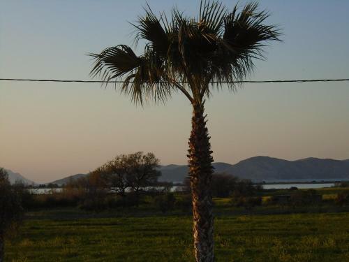 Apartamento Salt Lake Sunset