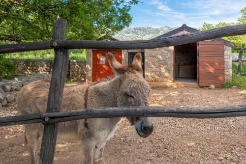 Villa Stone House Magarac
