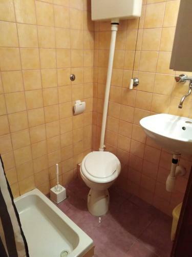 Apartments Srhoj