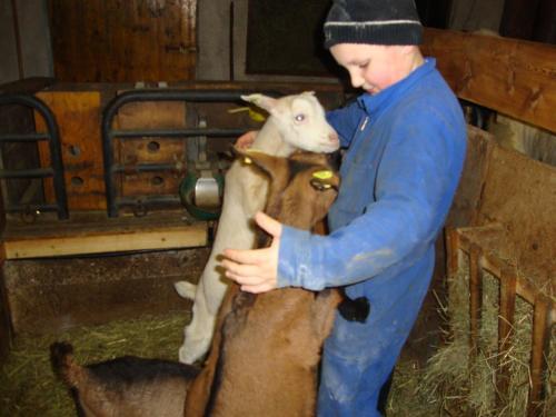 Agroturismo Hanselishof