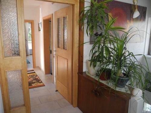 Apartamento Haus Herzog