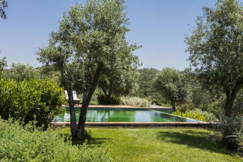 Villa Grandola Mountain Paradise By Cadenzalux