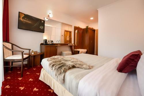 Apartamento The Nature Lover - Lovely Room With Mountain View