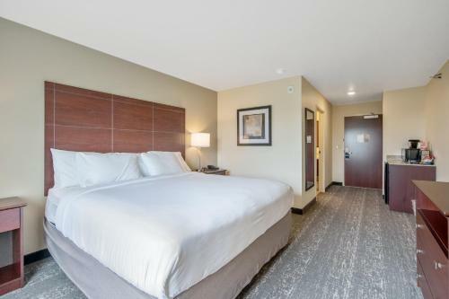 Cobblestone Hotel & Suites - Lamar