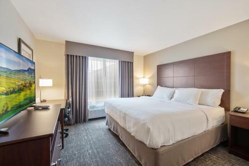 Cobblestone Hotel & Suites - Lamar