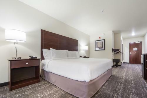 Cobblestone Hotel & Suites - Lamar