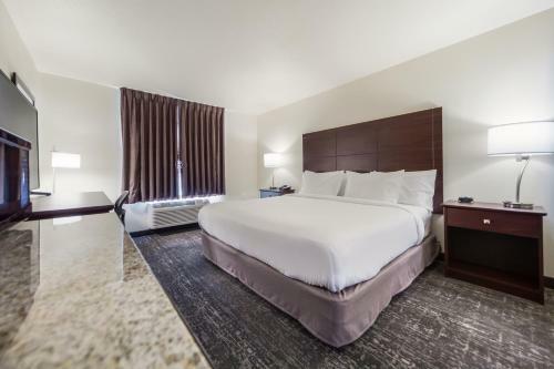 Cobblestone Hotel & Suites - Lamar