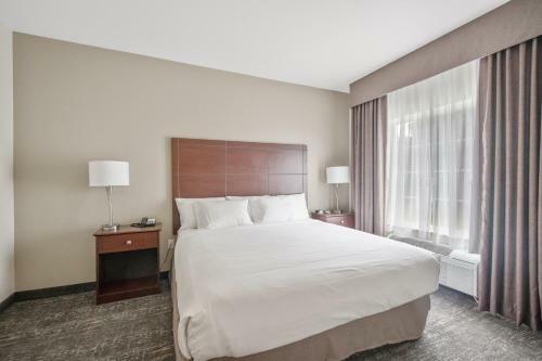 Cobblestone Hotel & Suites - Lamar