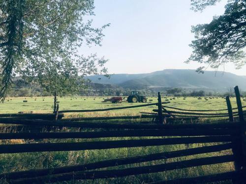 Colorado River Camp & Club