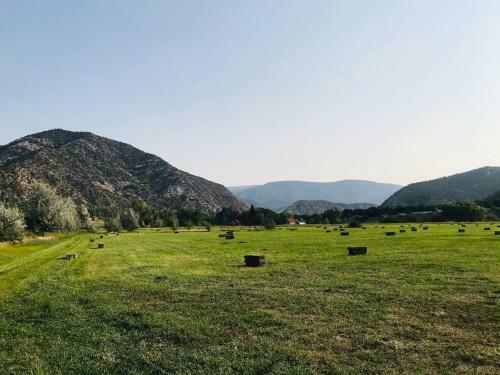 Colorado River Camp & Club