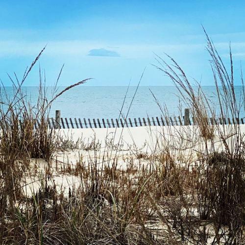 Beachfront Beauty
