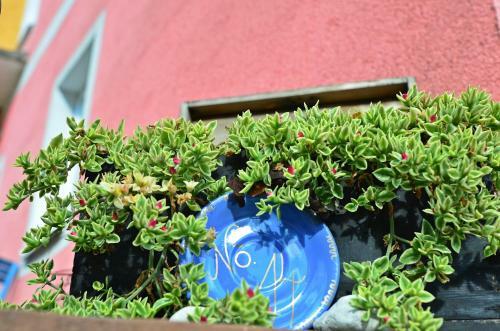 Apartamento Seraphine
