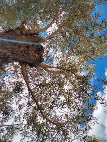Agradable Casa De Campo En Finca Ecol�gica