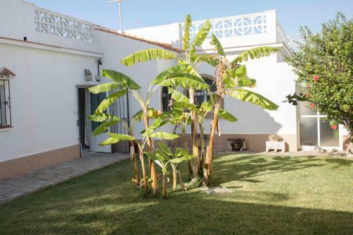 Villa Leon